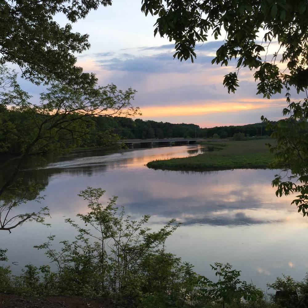 Meet your Posher, Leigh